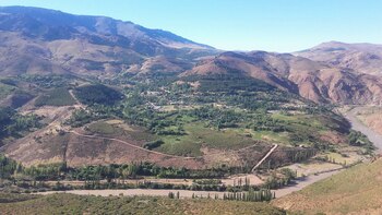 Huinganco Museo del Árbol y la Madera