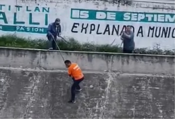Rescate de perrito Cuautitlán Izcalli Edomex Emisor Poniente