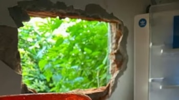 Detuvieron a un ex gendarme