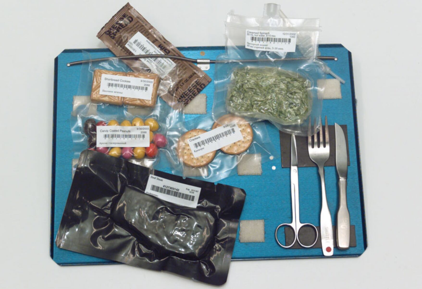 El menú de Artemis II incluye 189 ítems únicos entre tortillas, granola, huevos, carnes, vegetales y antojos dulces como chocolates y galletas (NASA)