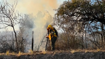 Catamarca: un devastador incendio forestal obligó a cortar el tránsito en la Ruta 4