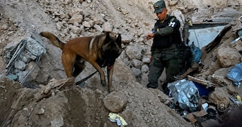TOGO, un Pastor Belga Malinois, y MAGO, un Labrador, recorrieron la estructura colapsada junto a sus guías y equipos de rescate.