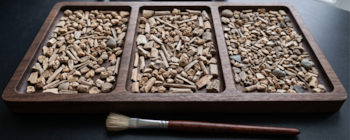 Una bandeja de madera con tres compartimentos llenos de pequeños restos de huesos y piedras, junto a un pincel en primer plano