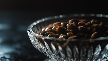 Semillas de papaya para regenerar