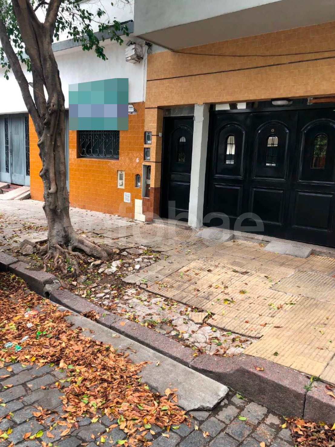 El accidente de 2021 ocurrió cuando la mujer tropezó con baldosas rotas y sueltas por raíces de un árbol y sufrió fractura nasal y politraumatismos. (Poder Judicial)