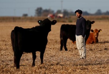 El ganadero Martín Logioio camina