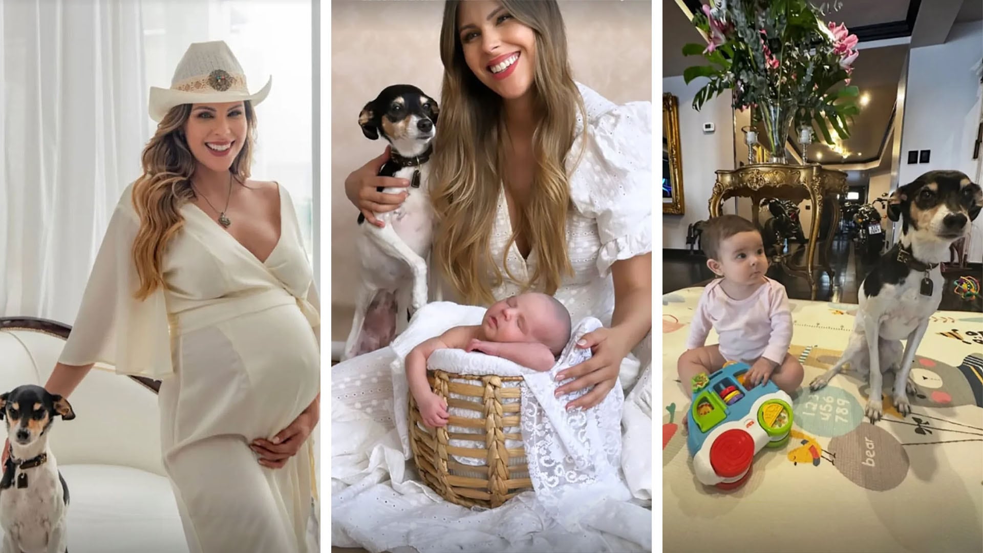 La modelo compartió imágenes de la mascota junto a Sarah y recordó que la acompañó durante el embarazo y los primeros años de crianza en el día a día familiar