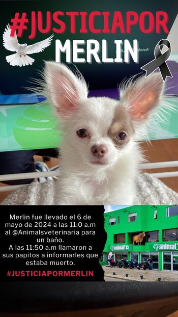 Los familiares y allegados piden