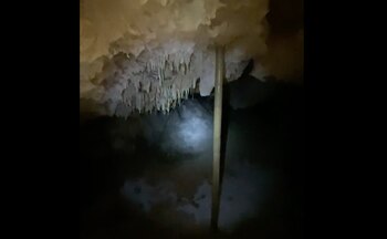 (Captura de Pantalla)