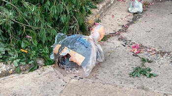 El torso, oculto en una