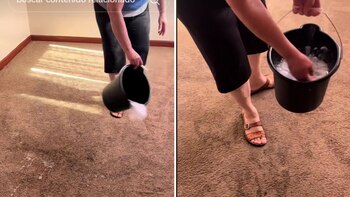 El divertido video revela cómo