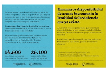 Temblores ONG advirtió sobre el incremento de la violencia por flexibilización de por te de armas - crédito @TembloresOng/X