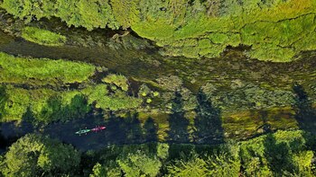 En búsqueda de la paz: