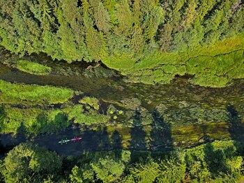 HANDOUT - A remo por