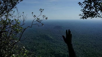 Los bosques administrados históricamente por las comunidades saamaka enfrentan una presión creciente por la tala y la minería de oro (AP)