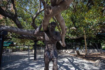 El Gomero de la Recoleta