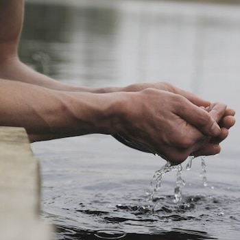 Innovación en plantas reduce el uso de agua por litro de bebida producida: MexBeb
PR Newswire
CIUDAD DE MÉXICO, a 26 de marzo de 2026
· Desde 2008, las empresas asociadas a MexBeb redujeron 27% el uso de agua en la producción de bebidas,
· Para 2030 la meta es utilizar 1.47 litros de agua por litro de bebida producida, una reducción adicional de 5% respecto a la línea base de 2021.
CIUDAD DE MÉXICO, a 26 de marzo de 2026 /PRNewswire/ -- En el marco del Día Mundial del Agua, la Asociación Mexicana de Bebidas (MexBeb) reafirmó su compromiso con la gestión responsable del recurso hídrico y refrendó la meta para alcanzar un índice de uso de agua o Water Use Ratio (WUR) de 1.47 litros de agua por litro de bebida producida. Esto implicará una reducción adicional de 5% en el uso de agua, respecto a la línea base de 1.55 litros calculada en 2021.
En los últimos años, las empresas asociadas han invertido de manera sostenida en tecnología y mejora de procesos para utilizar cada vez menos agua en sus plantas. Como resultado, el WUR pasó de 2.12 L/L en 2008 a 1.55 L/L en 2021 como promedio de las embotelladoras, con una clara ruta de mejora hacia 2030.
Tecnología e innovación
Dentro de las plantas embotelladoras, se han implementado sistemas y proyectos en cada uno de los eslabones de la cadena de valor. Un ejemplo de las acciones de reducción de consumo de agua en el proceso de producción consiste en la implementación de sistemas de soplado de botellas integrado en las líneas de producción. Es decir, se sopla el envase en línea, lo que permite eliminar el uso del agua en el enfriamiento, limpieza y saneamiento de botellas. También se utilizan sistemas de llenado de alta precisión, instalación de sensores que monitorean fugas en tiempo real, o el reúso de agua no destinada al producto final en otros procesos como lavado o enfriamiento.
Actualmente, dos tercios del volumen de agua que se utiliza en la industria se envasa para consumo final, mientras que el tercio restante se reincorpora a los ecosistemas como agua tratada, apta para riego y otros usos urbanos o industriales.
Circularidad y proyectos comunitarios
Otro ejemplo de optimización de agua dentro de la industria de bebidas sin alcohol es el proyecto de "Circularidad de agua", proceso en el que las aguas residuales que surgen del proceso productivo y que cumplen con la normatividad aplicable se utilizan nuevamente en otros procesos, cadenas de valor e, incluso, en otras industrias.
Asimismo, se promueven iniciativas como "Escuela con Agua", que incorporan sistemas de captación de lluvia y almacenamiento en planteles escolares para apoyar actividades cotidianas como lavado de manos, limpieza de instalaciones o riego de áreas verdes, además de fortalecer la cultura del uso responsable del agua.
Las empresas asociadas a MexBeb también desarrollan proyectos para la reforestación y preservación de áreas verdes, reabastecimiento de acuíferos o construcción de humedales, entre otras acciones.
El uso de agua en México
De acuerdo con la Comisión Nacional del Agua, el volumen de concesiones para usos consuntivos, es decir, en las que el agua se utiliza en un lugar diferente de donde se extrae, se distribuye de la siguiente manera: 76% para la agricultura, 15% para el abastecimiento público urbano, 5% para usos industriales y 4% para la generación de electricidad. De ese volumen, las empresas productoras de refrescos y otras bebidas sin alcohol que integran MexBeb, utilizan solamente el 0.06%.
En la agenda de sostenibilidad de MexBeb, el uso eficiente del agua es una prioridad. Por ello, la Asociación seguirá impulsando inversión, innovación y mejora continua en las plantas para reducir el índice de uso de agua, fortalecer la circularidad y contribuir al cuidado de los recursos naturales en colaboración con las comunidades en donde opera la industria
Acerca de la Asociación Mexicana de Bebidas (MexBeb)
MexBeb representa a reconocidas empresas mexicanas dedicadas a la producción y comercialización de bebidas no alcohólicas, que operan 120 plantas embotelladoras y 687 centros de distribución (CEDIS) con presencia en todo el territorio nacional. Su participación es de 84% en el mercado total de bebidas no alcohólicas y de 98% en el mercado de refrescos y aguas carbonatadas.
Esta Industria es un potente motor de la economía nacional, regional y local del país que, a lo largo de su amplia cadena productiva, contribuye a generar más de 1.9 millones de empleos directos e indirectos y un valor de producción superior a los 1.15 billones de pesos, que equivalen al 3.4% del PIB total del país.
Para más información visita nuestro sitio: mexbeb.org
Foto - https://mma.prnewswire.com/media/2943715/Mexbeb_abril_13.jpg
View original content to download multimedia:https://www.prnewswire.com/mx/comunicados-de-prensa/innovacion-en-plantas-reduce-el-uso-de-agua-por-litro-de-bebida-producida-mexbeb-302726739.html
FUENTE MexBeb