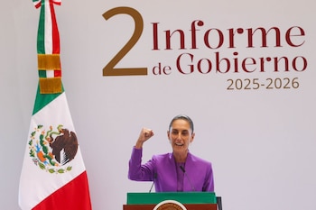 Segundo Informe