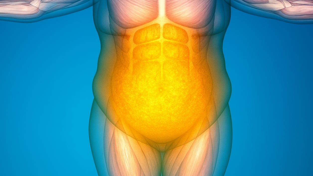 La acumulación de grasa alrededor de los órganos internos favorece la inflamación crónica y problemas metabólicos (Imagen ilustrativa Infobae)