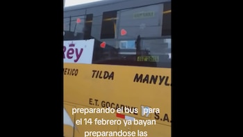 Gracias a su creatividad, el