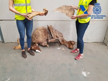 07/10/2020 Operación 'Corsario'
SOCIEDAD ESPAÑA EUROPA