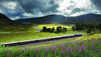Belmond Royal Scotsman, en Escocia