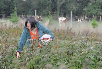 Andrea Ferreira, una esposa mapuche,