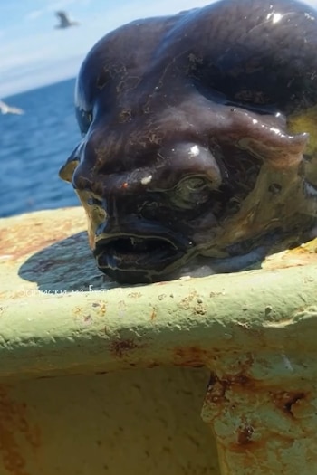 El pez lumpo liso, o