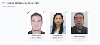 Lista de vicepresidentes en Perú 2026: estos son los acompañantes de cada candidato: Captura: ONPE.