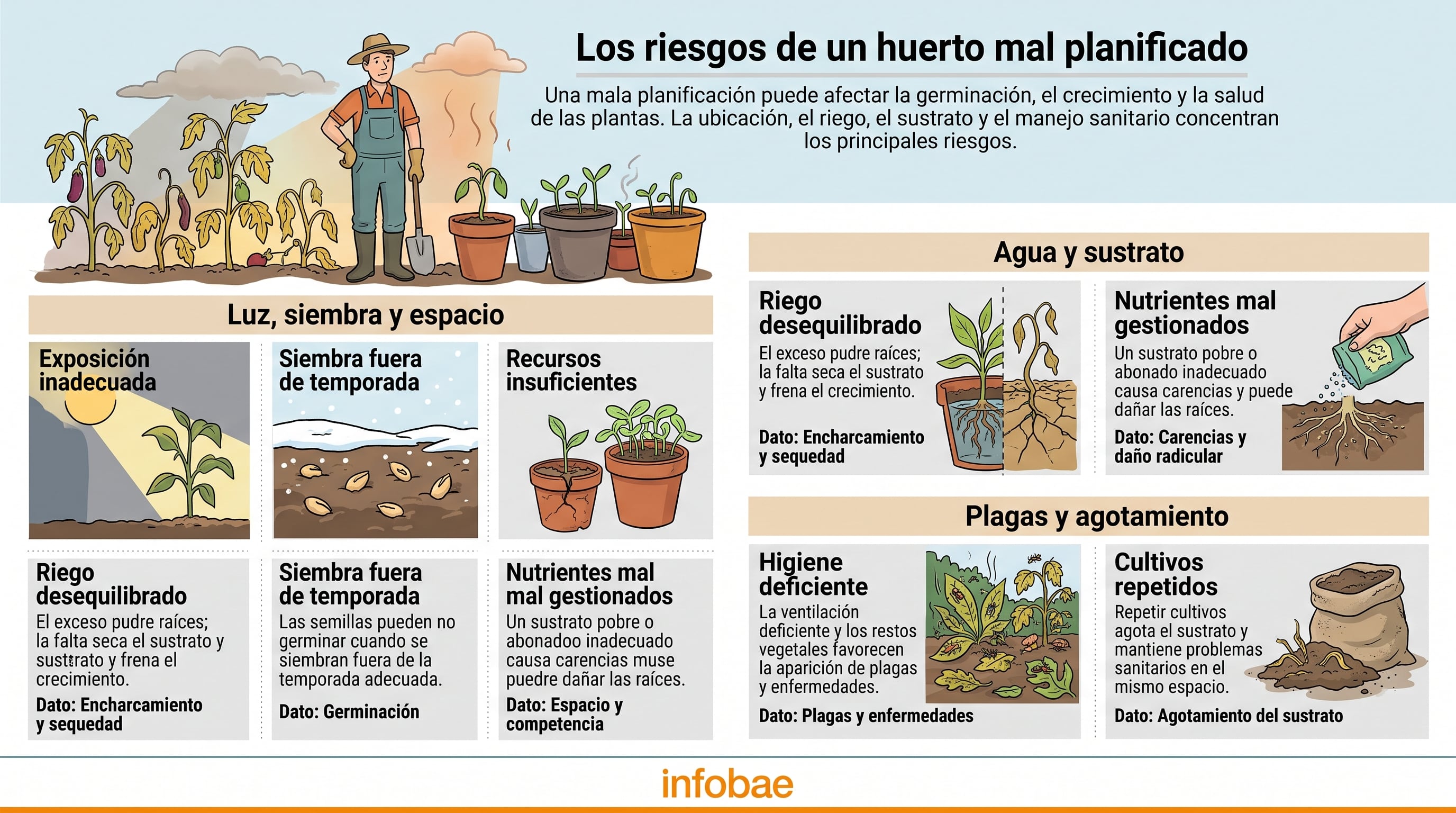 Errores y riesgos en la planificación de un huerto urbano. (Imagen Ilustrativa Infobae)