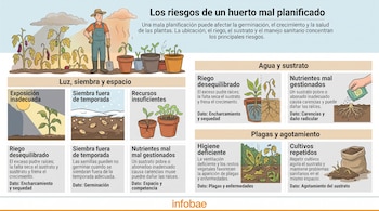 Infografía con ilustraciones de un agricultor, plantas en macetas, raíces y esquemas con texto explicativo sobre el cuidado de cultivos.
