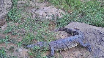 Creatura del folclore tailandés, antes