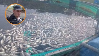 Emprendedor pierde más de 11 mil dólares en tilapias por constantes apagones en Honduras