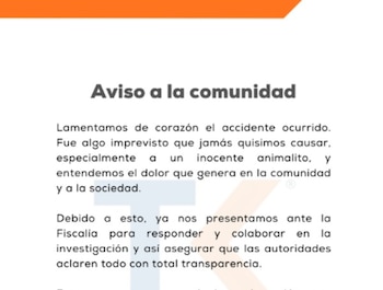 La empresa TK Andina Ltda. expresó su pesar por el atropellamiento de un perro en el barrio Britalia de Kennedy, Bogotá - crédito @TKAndinaltda / X
