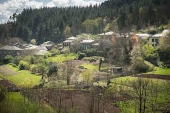 Negueira de Muñiz (Concello de