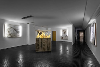 Sala de exposición de arte con paredes blancas, suelo oscuro texturizado, y obras de arte abstractas iluminadas. En el centro, una vitrina con una escultura dorada brillante