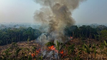 Un incendio forestal para desmontar