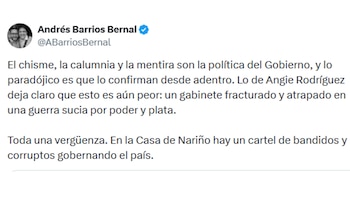 Concejal de Bogotá sobre declaraciones de Angie Rodríguez en contra del Gobierno de Gustavo Petro - crédito @ABarriosBernal/X