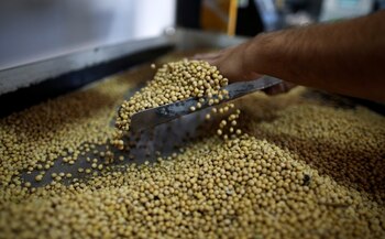 Las retenciones a la soja