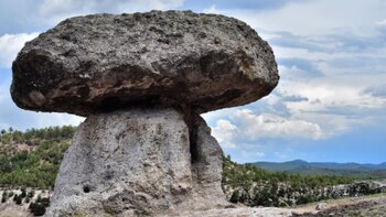 Valle de los Hongos Portada 1 de febrero 2024