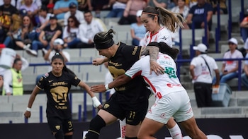 Dónde ver en vivo todos