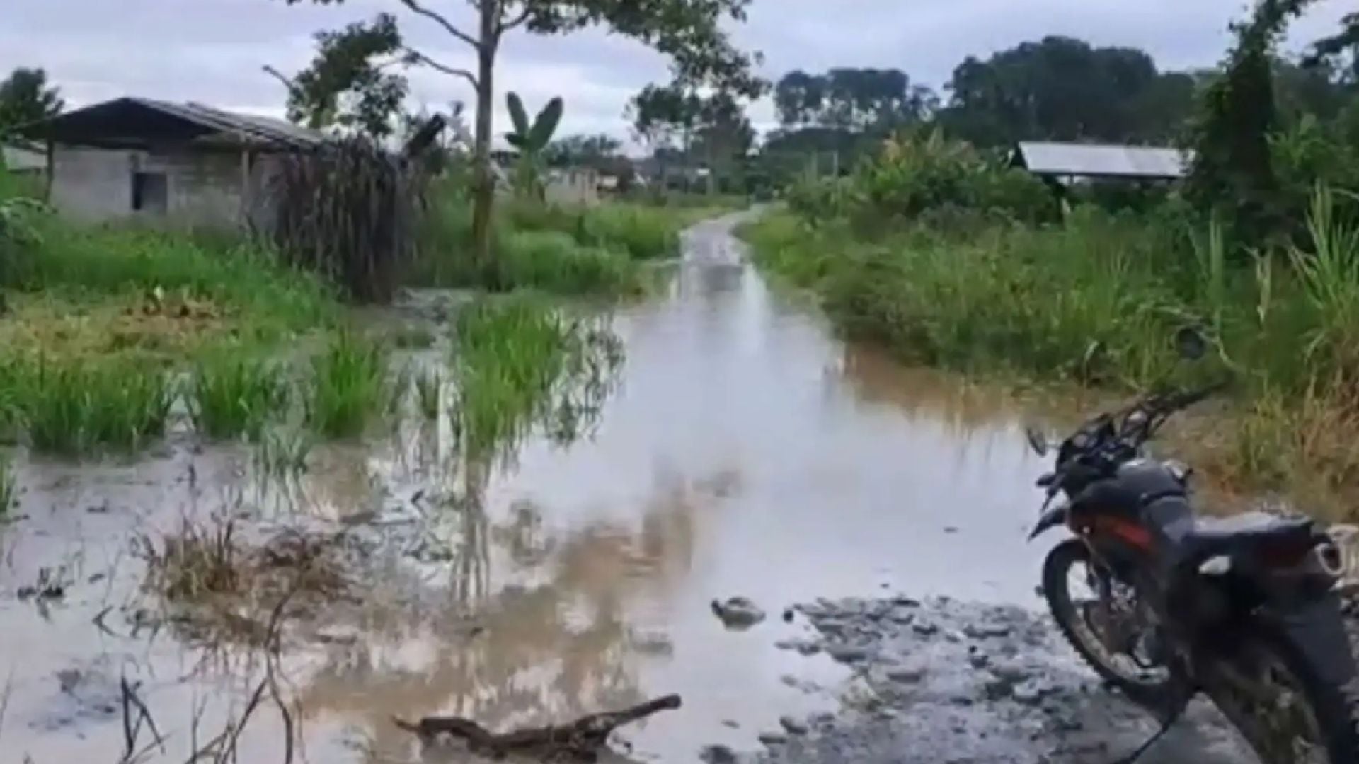 El Senamhi alertó sobre lluvias de moderada a fuerte intensidad, descargas eléctricas y vientos de hasta 45 km/h en la selva, con pronóstico de persistencia hasta el viernes 17 de abril - Créditos: Andina.