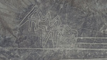 Las líneas de Nazca.