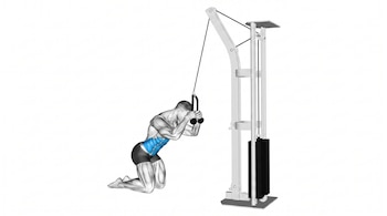 Ilustración de un hombre de rodillas realizando abdominales en una máquina de poleas con cable y pesos, mostrando músculos abdominales azules resaltados.