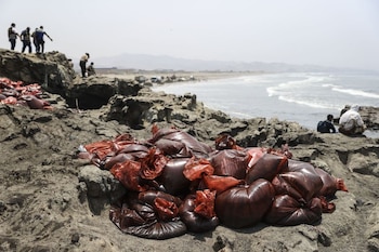 Foto: Agencia Andina