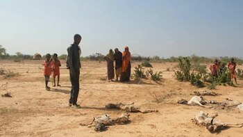 La sequía, según indicaron distintos