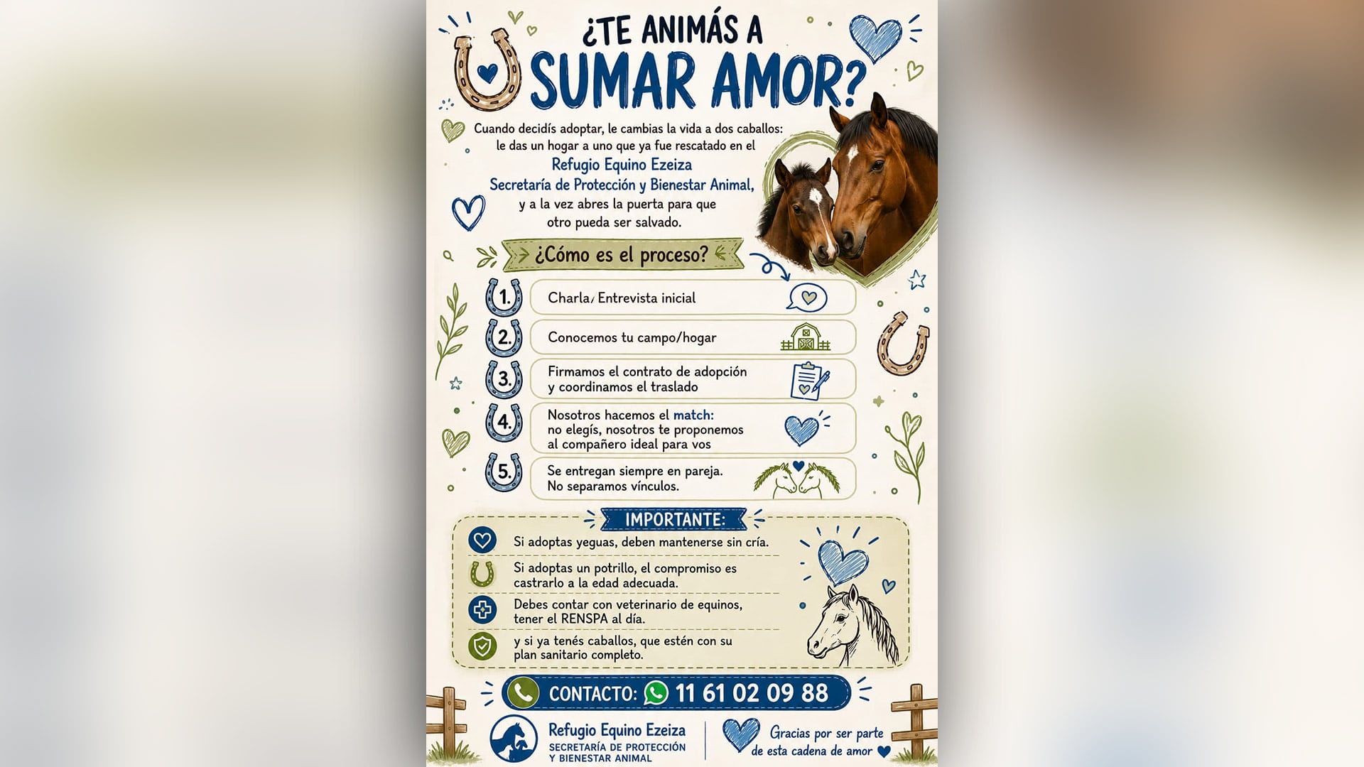 Requisitos para adoptar (pybanimal.ezeiza)