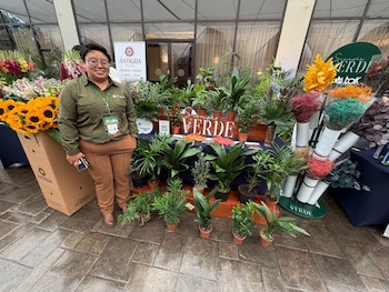 Mujer con camisa verde y anteojos de pie junto a una mesa con macetas de plantas verdes, girasoles y ramos de flores de colores