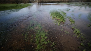 Tui y Salvaterra se suman