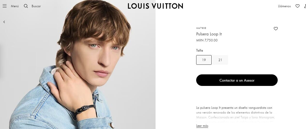 (Louis Vuitton)